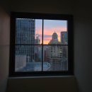 세븐일레븐태평마리골드점 | 시드니 가족호텔 추천, YEHS 하버 스위트 펜트하우스 2박 3일 내돈내산 후기