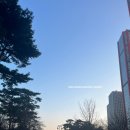 여미향 망개떡 서대문점 | 2024[주간일기]01.29~02.04|피곤해도 신나는 한 주