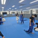 가산호신술