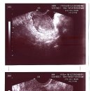 프라임여성의원 이미지