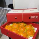 호두앤미운정점 | 퇴사일기)퇴사 답례품 개추천! 감사로담 호두정과로 유종의 미 거두기