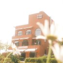 해밀동 카페 그로서리스터프 베이크하우스 주변 산책은 덤