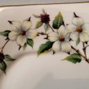 도그 블라썸 이미지