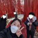 영월 여행 2박3일 8개월아기랑 첫 장거리로 강원도 갔어요