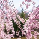 너참예쁘다 이미지