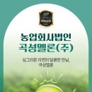 6차산업 사례 - 곡성멜론(주)