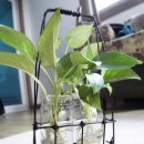 선화세탁소 이미지