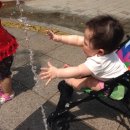 도요새어린이공원 이미지