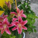 북수원카페 공인중개사사무소 이미지