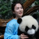 판다 이미지