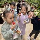 중앙초등학교병설유치원 이미지