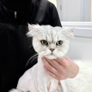 웅이민박 네이버블로그