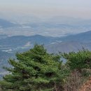 양촌리.동양촌 이미지