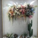 레인보우인셀덤