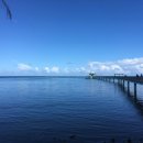 777 피시 이미지