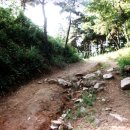 서울양천고성지 이미지