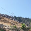 저동농장 이미지