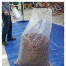 새빛 기독보육원 이미지