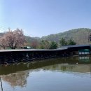 자일낚시터 이미지