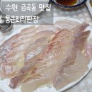 통큰 맛집 코낙찜 | 수원 호매실 맛집 [통큰회직판장] 내돈내산 솔직후기 서더리매운탕까지, 깔끔한 횟집 포장배달 전문