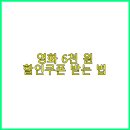 정읍생활체육센터(론볼장) | 🎬 영화 6천 원 할인쿠폰 받는 법