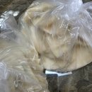 미성당납작만두 상인점 | 대구에서 꼭 먹어야하는 미성당납작만두 상인동 분식 맛집