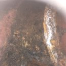 중앙사우나 이미지