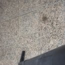 울주서부청소년수련관 | 울주서부 청소년 수련관 남여 샤워실,화장실 UV세라믹3단계 코팅시공 7월21일~22일