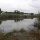 왕숙천 자전거도로10 이미지