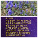 휴락