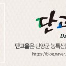 다누리민박