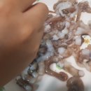 자갈치수산 이미지