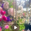 D.M 푸른솔 이미지