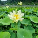 비엔나음악교습소 - 노원구 중계로8길 7 | 비엔나음악교습소