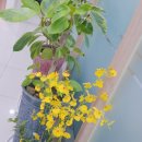 순천로뎀의원 이미지