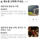 밤티목장 | 제주 서귀포 카페 ㅣ 대한목장 홀리랜드 - 여름 제주도 가볼만한 곳/대한목장 사진 잘 나오는 스팟...