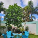 가나안빌딩(가나안교회) 이미지