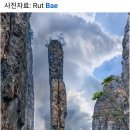 ＜컬럼＞ ㅡ 칼 든 놈이 먼저 죽는다! ㅡ 이미지