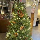 시선 호스텔 | 커피호스텔 성안길 본점｜크리스마스카페 분위기 가득! 크리스마스케이크·청주수제케이크 맛집