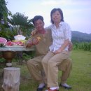 야콘부부농장 이미지