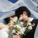 풍차스튜디오 | 강원도야외촬영 웨딩스냅 l 비엔토Viento 스튜디오 후기