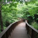 고산목장 이미지