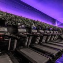 아크로짐 마곡점 이미지