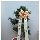 아라국제결혼 이미지