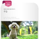 잘하는 동물메디컬센터 이미지