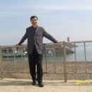 도리도민박 이미지