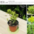 원하농장 이미지