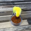 데일리프리티 이미지