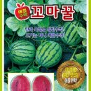 KS농장 이미지