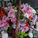 OK식물원 이미지
